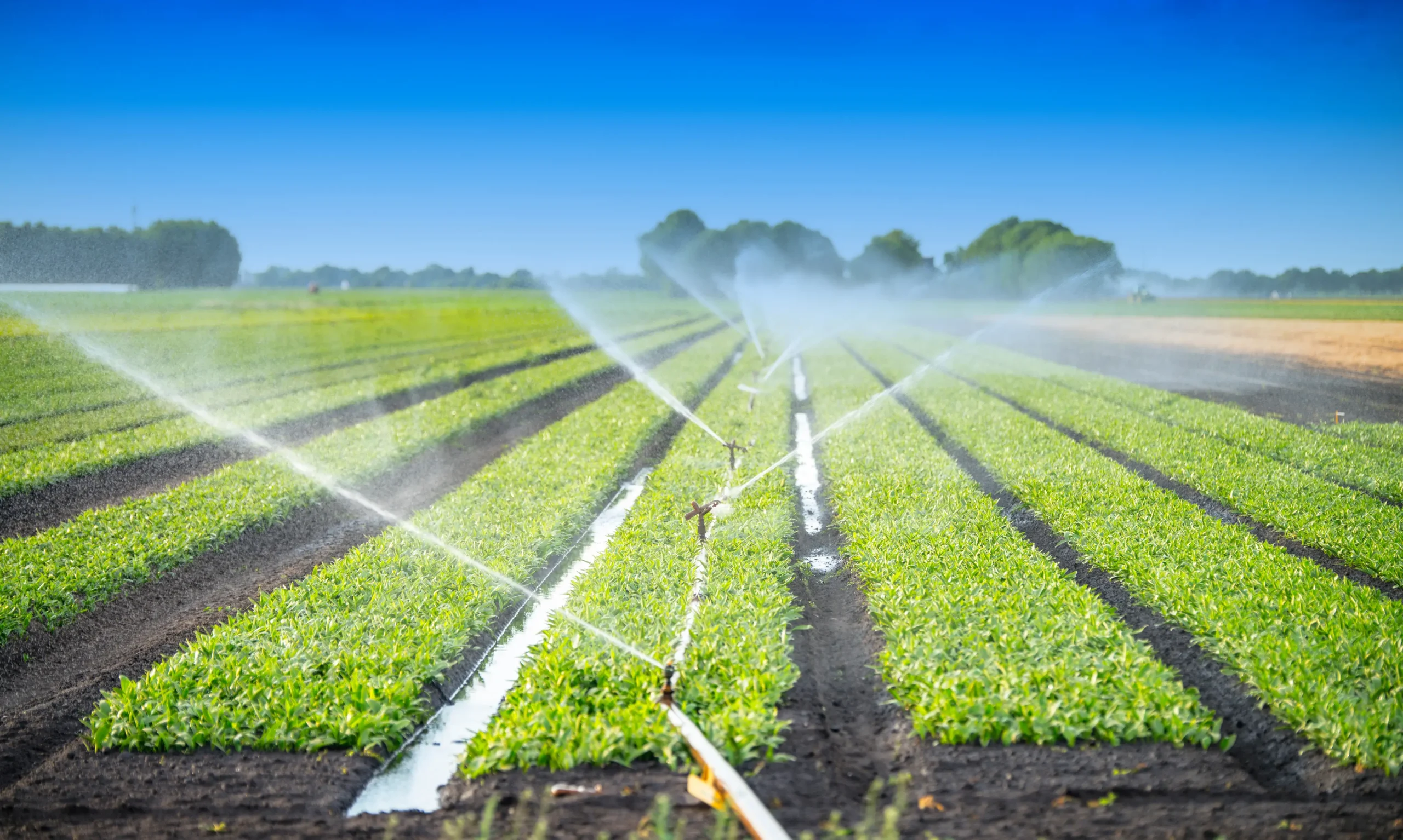 irrigation water efficiency